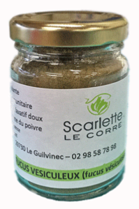 Fucus vésiculeux en poudre - Verrine de 60g