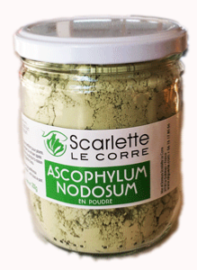 Ascophyllum Nodosum en poudre  - Verrine de 200g